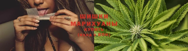 ешки Козловка