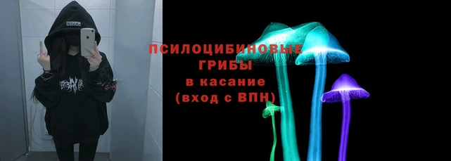 apvp Козельск