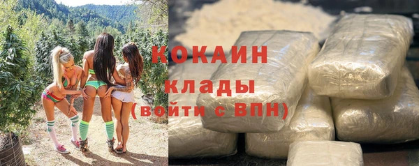 apvp Козельск