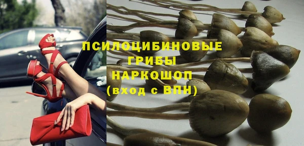 apvp Козельск