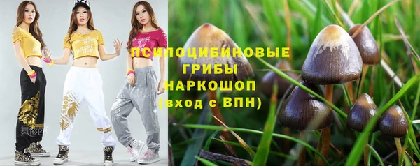 ешки Козловка
