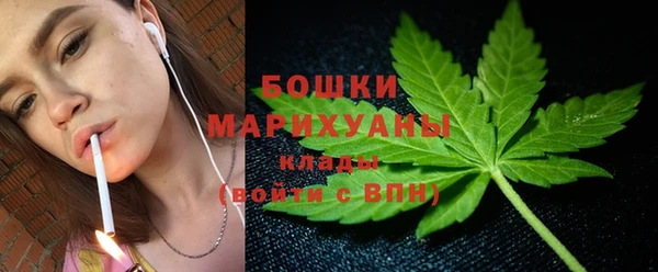 apvp Козельск