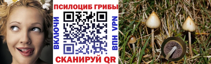 Галлюциногенные грибы MAGIC MUSHROOMS  Купить закладки  Покров 